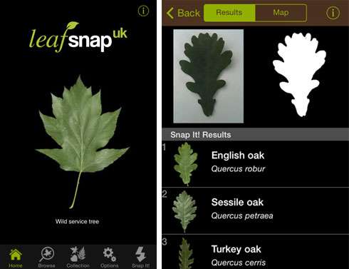 LEAFSNAP